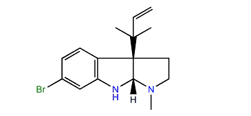 Dihydroflustramine C